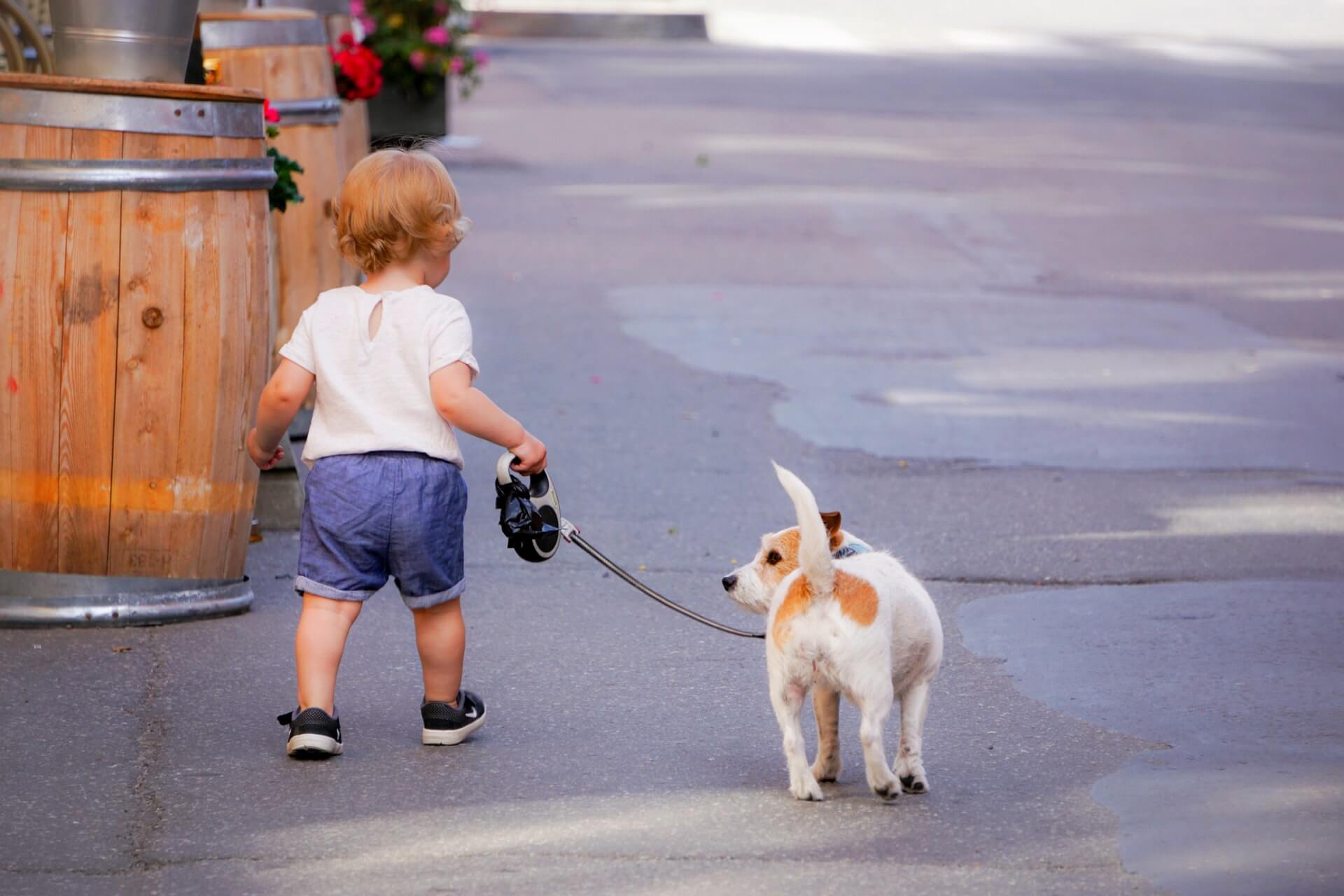 Ettåring ute med sin hund i Vasastan